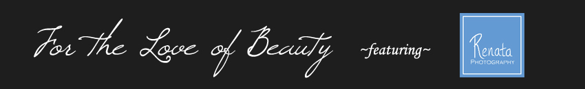 For the Love of Beauty Blog logo